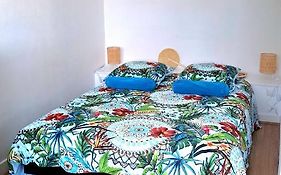 Appartement Le Gambetta